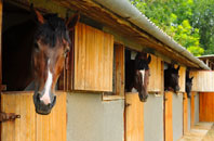 free Poundland stable construction quotes